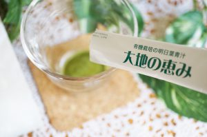 明日葉青汁【大地の恵み】