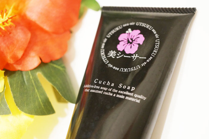 【体験談】美シーサーを使ってみた結果、使用感などをレビューします