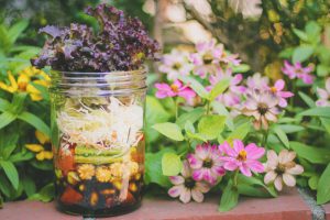 ベルタ酵素ドリンク