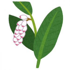 美白ケアも洗顔料でできる？抗酸化作用のある洗顔料で美白しながら毛穴ケア