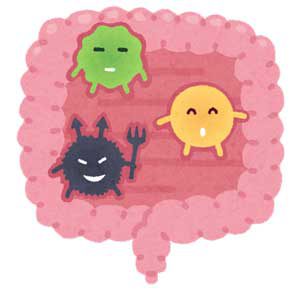 ミドリムシの美容と健康効果がすごい！ユーグレナサプリメントの秘密